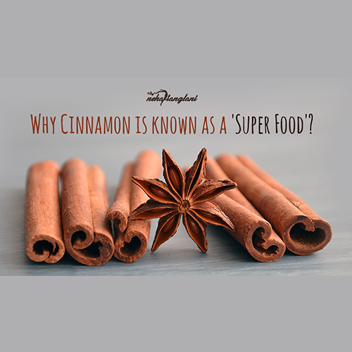 CINNAMON- A SUPER FOOD!!