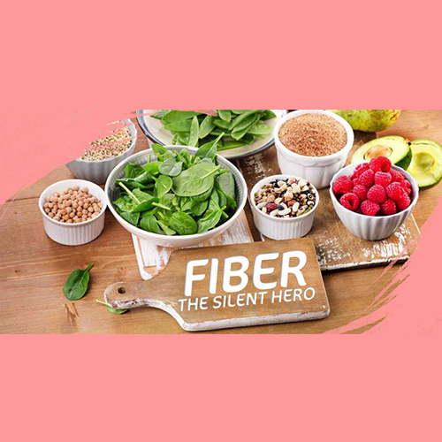 FIBER THE SILENT HERO