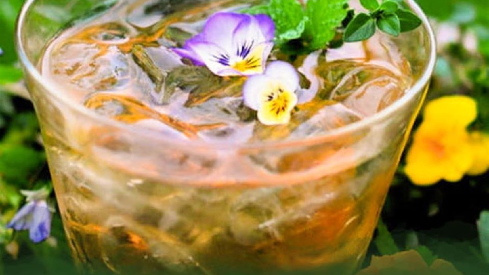 IMMUNITY THANDAI