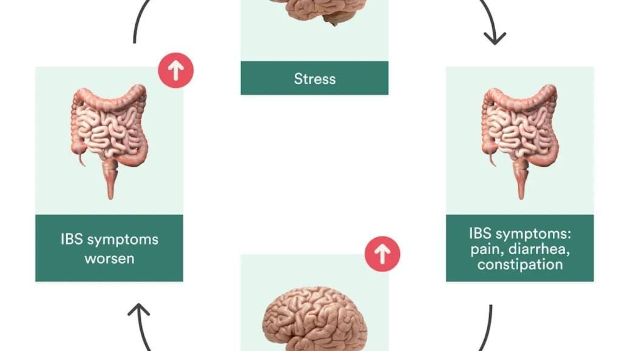 The Missing Link In IBS Recovery