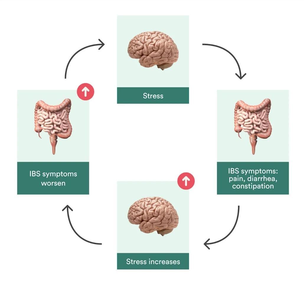 The Missing Link In IBS Recovery