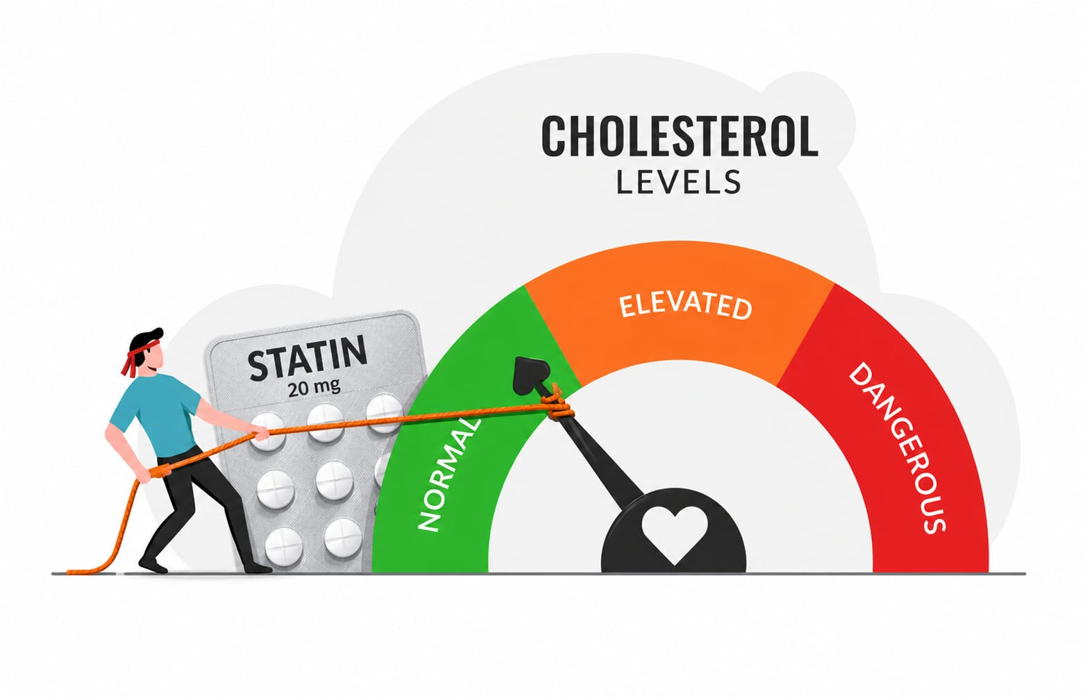 The Cholesterol Trap – What Your Doctor Isn’t Telling You About Your Heart Health