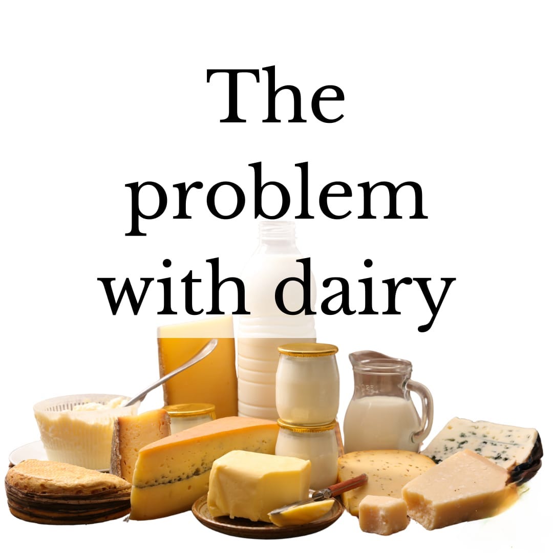 DOES DAIRY AFFECT THE GUT LINING? WHAT DOES SCIENCE ACTUALLY SAY?
