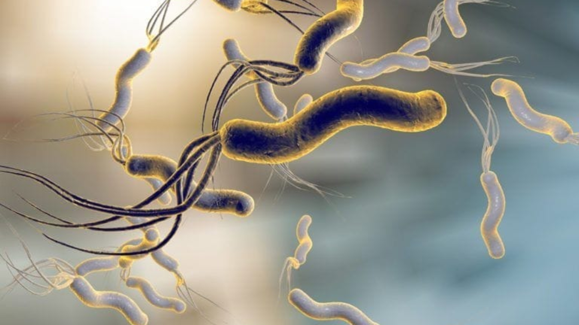 H Pylori: Is Antibiotics the only way to treat it ?