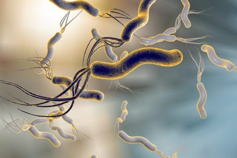 H Pylori: Is Antibiotics the only way to treat it ?