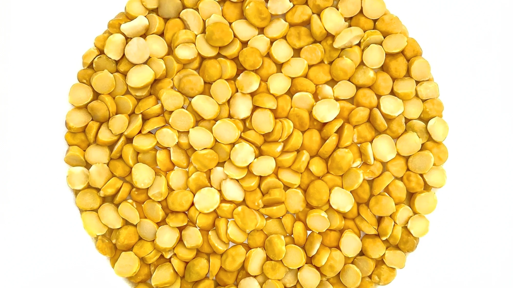 Chana Dal