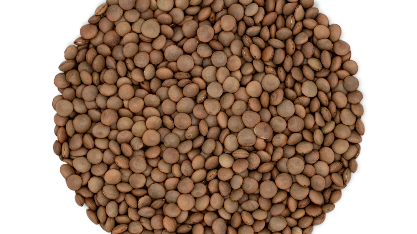 Masoor Dal Sabut
