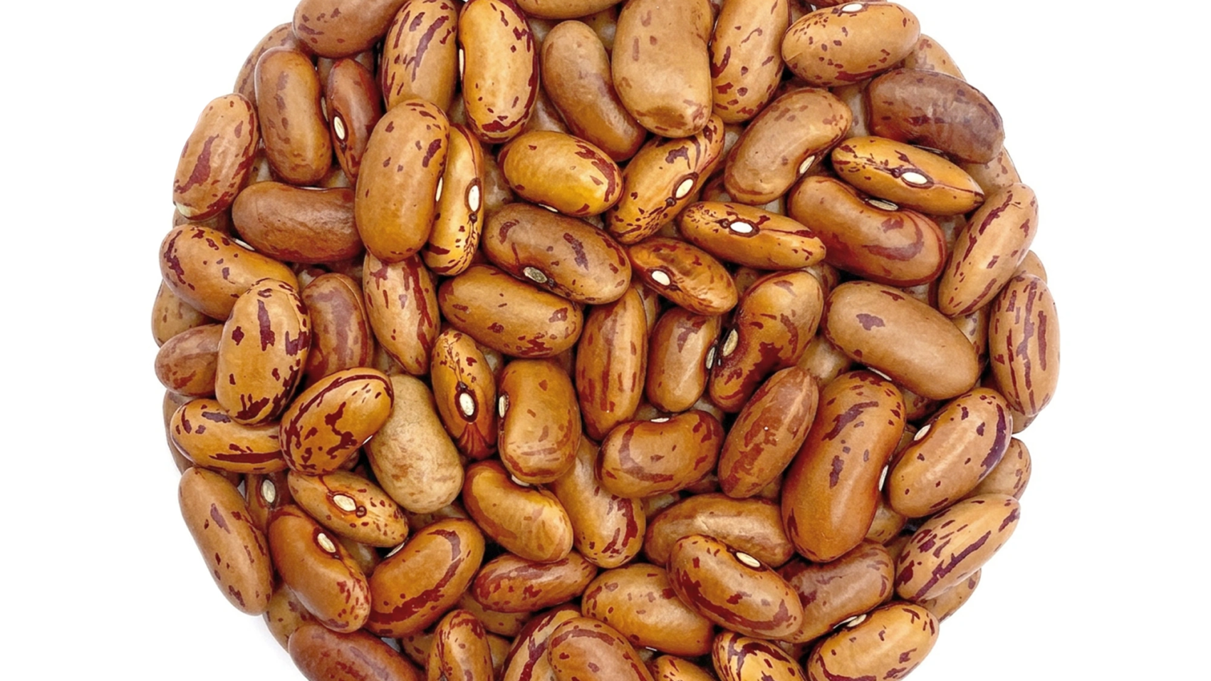 Rajma Chitra-Kidney Beans
