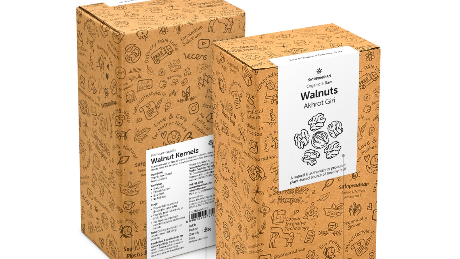 Walnut Kernels Akhrot Giri Pack