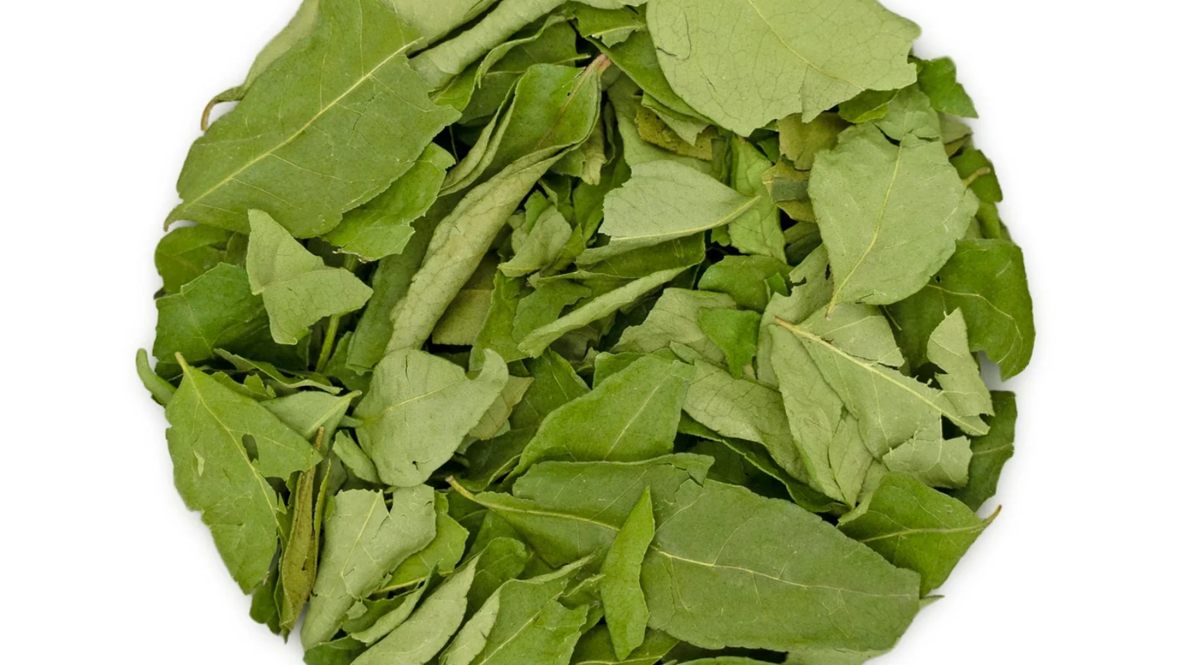 dried-curry-leave