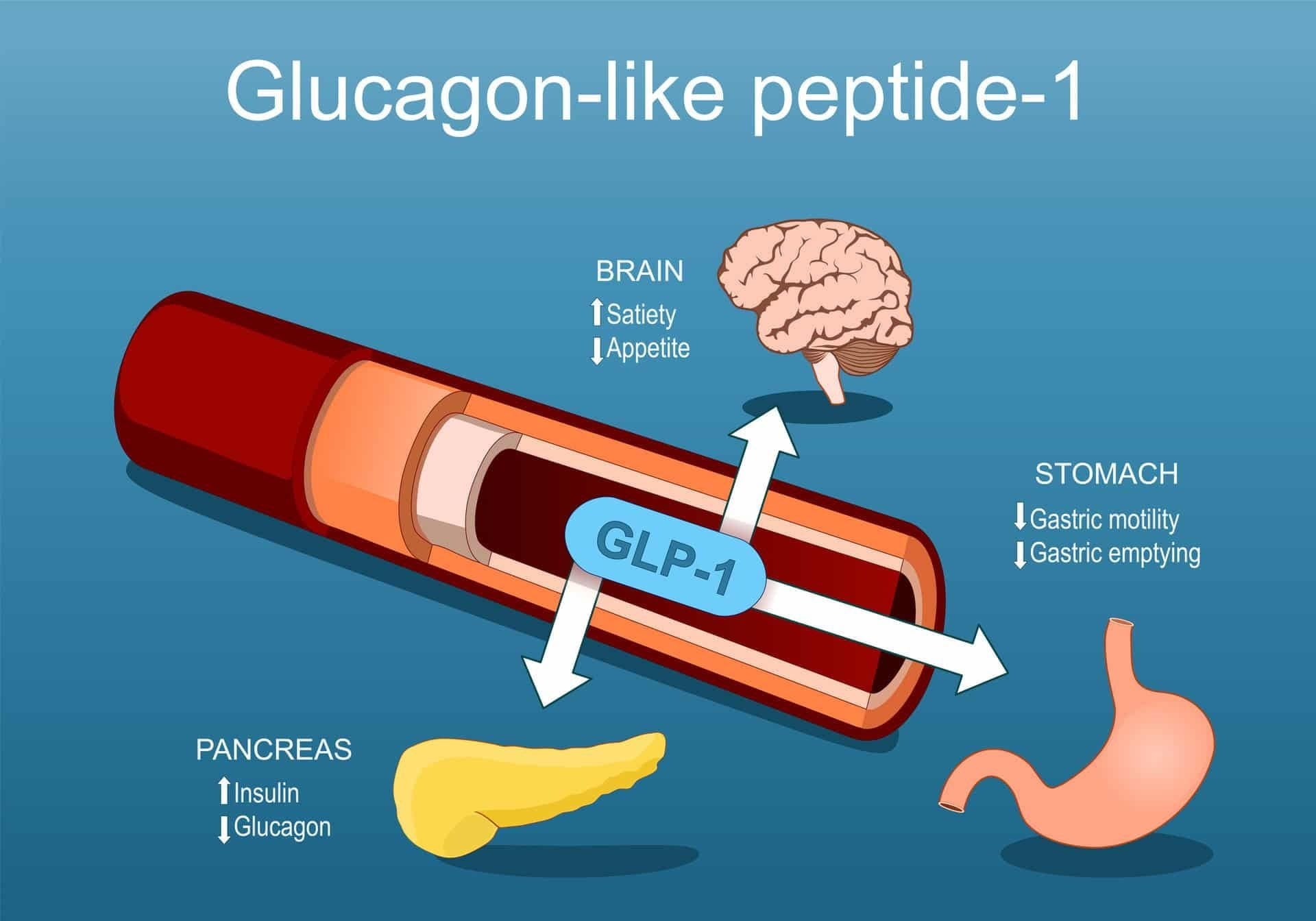 What Your Doctor Didn’t Tell You About GLP-1 & its Natural Activation