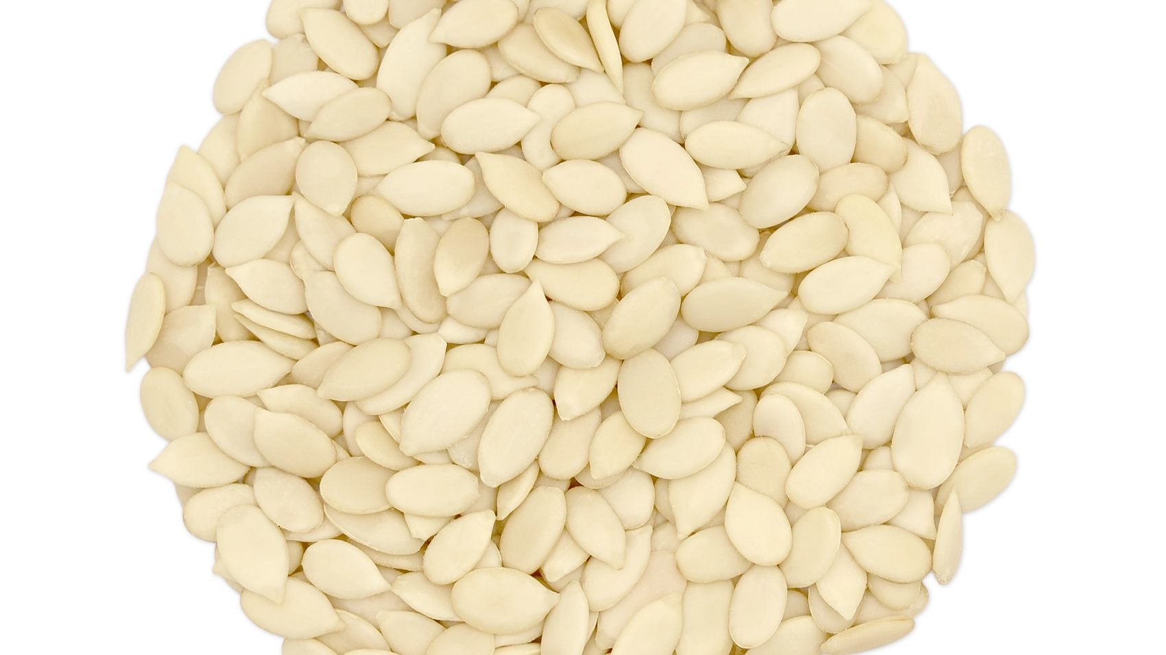 watermelon seed