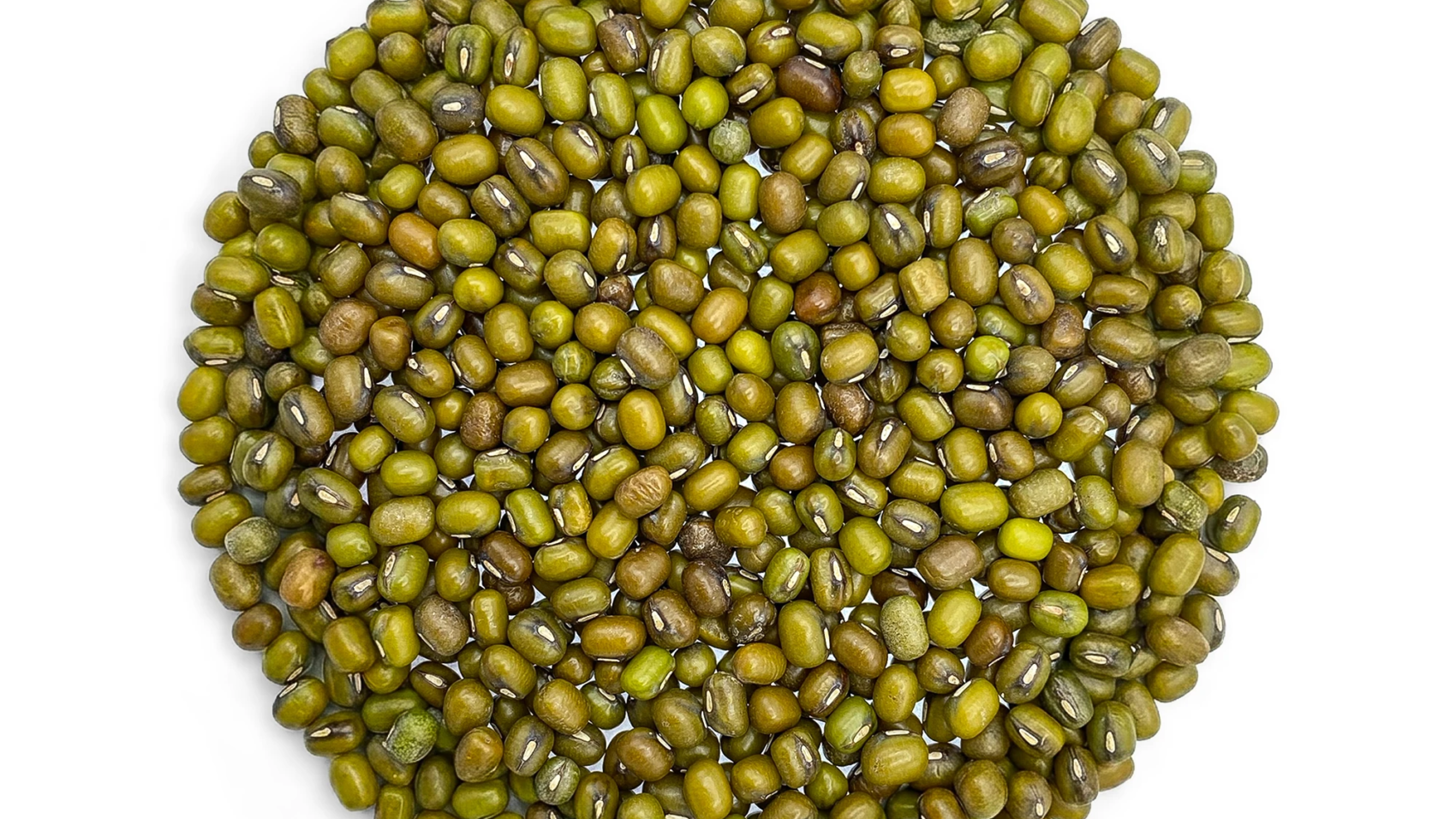 whole green Moong Dal Sabut