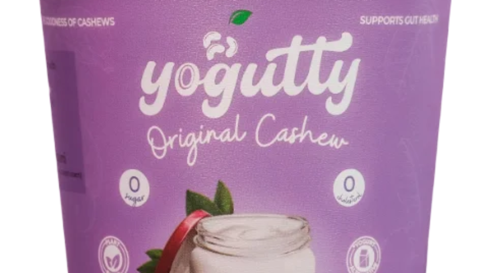 yoogutty500